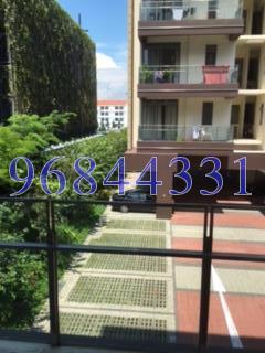 Auralis (D15), Apartment #119685962